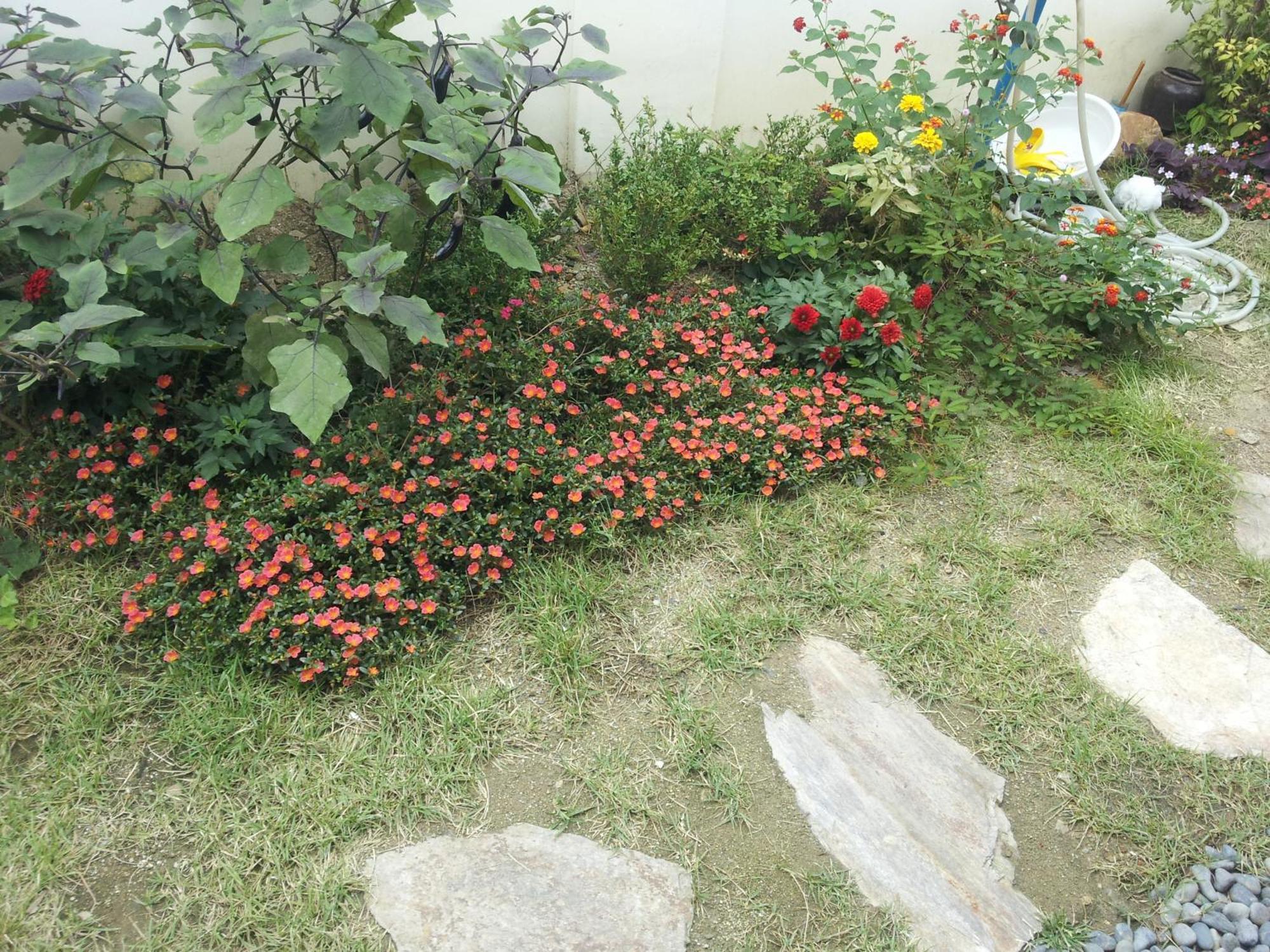 Jeonju Nostalgic Home Екстер'єр фото